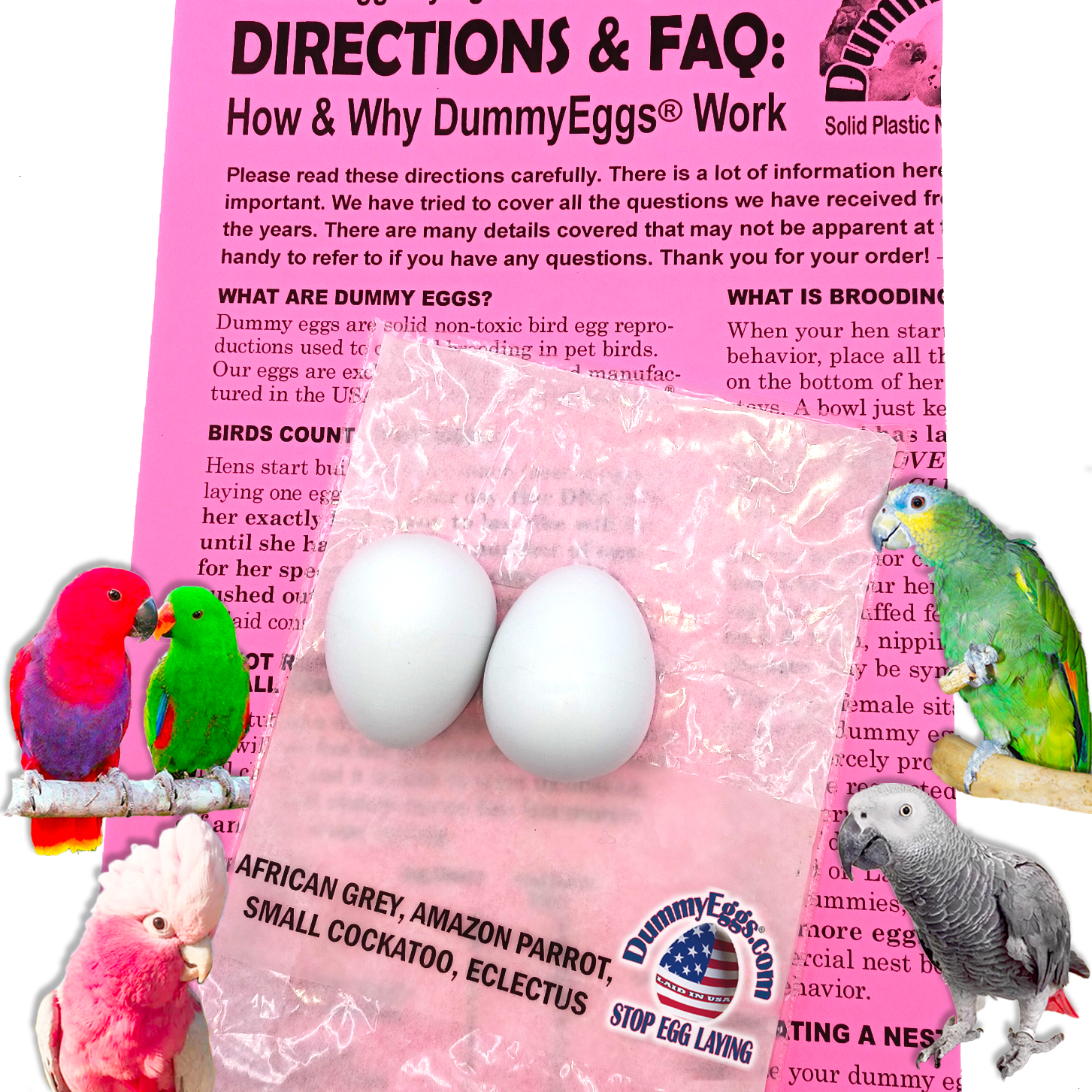 MEDIUM PARROT DummyEggs® for AFRICAN GREY, ECLECTUS, AMAZON PARROT, SMALL COCKATOO, MACAW, PIGEON